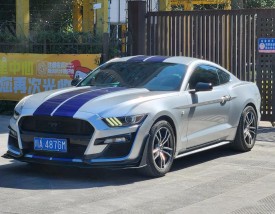 福特野马最便宜的多少钱一辆／福特野马几块钱