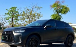 长城weyp8,长城wey商务车