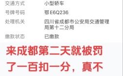 【成都电子警察交通违章查询,成都电子警察官网】