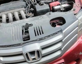 本田锋范电瓶型号(本田锋范车电瓶型号)