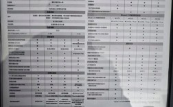 东风标致206整备质量是多少(标致206 重量)