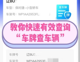 车辆违章查询免费入口在线查询,车辆违章查询免费入口在线查询电话