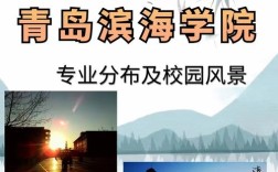 青岛滨海学院是几本 青岛滨海学院专业