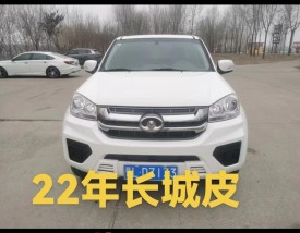 柴油两驱皮卡多少钱(柴油皮卡两驱和四驱的优缺点)