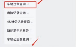 怎么查自己的车有没有违章记录,查看自己的车有没有违章怎么查询