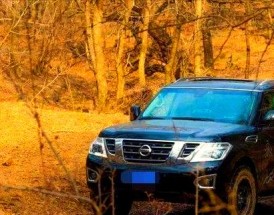 开尼桑的人都是什么人(开尼桑的男人)