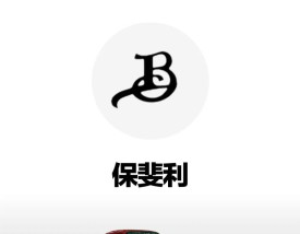 保斐利汽车有多贵(保斐利机油怎么样)