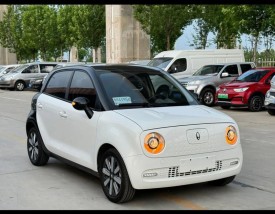 长城小电车欧拉价格(女士电动小型车25万)