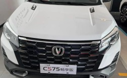 长安101多少钱(长安10左右的车)