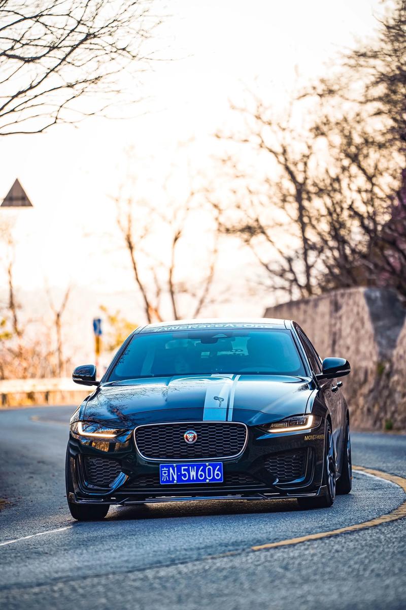 捷豹前面为什么有奇瑞,捷豹为什么是奇瑞捷豹