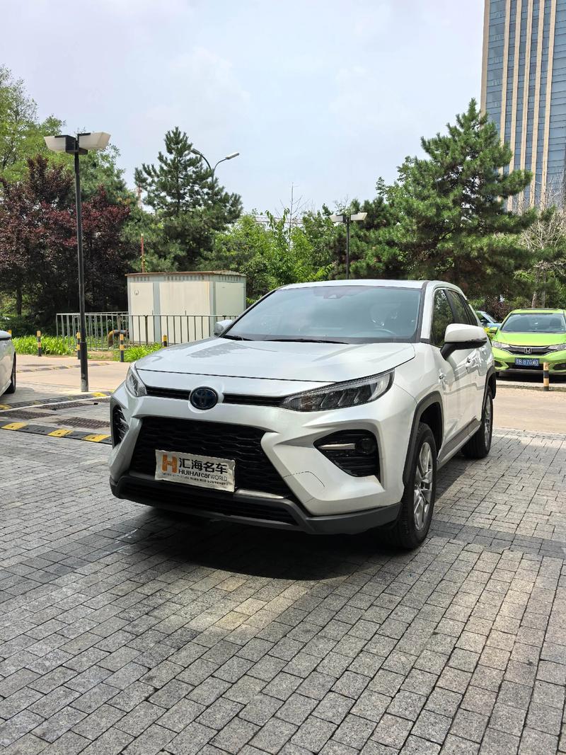 最便宜的混动汽车多少钱/最便宜 混动