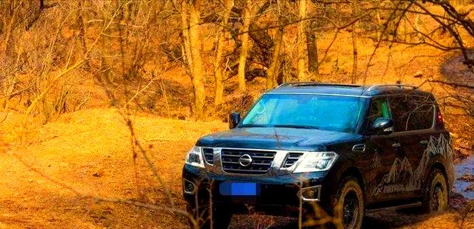 开尼桑的人都是什么人(开尼桑的男人)