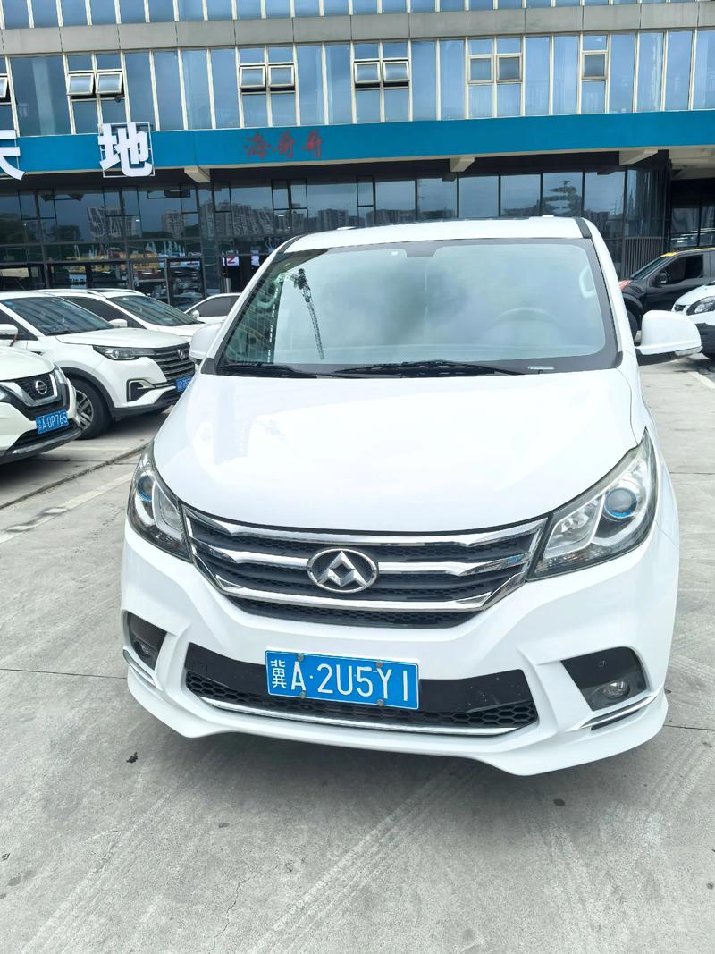 19年大通g10降价8万(大通g10 2019)