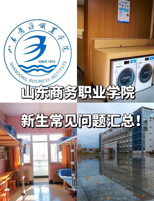 山东商业职业技术学院官网(山东商业职业技术学院官网录取查询)